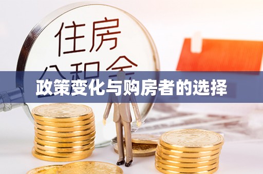 桂东政策变化与购房者的选择