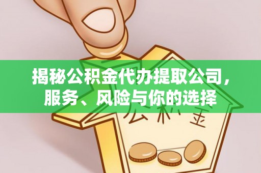 南召揭秘公积金代办提取公司，服务、风险与你的选择