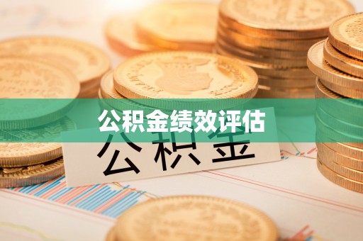 金东公积金绩效评估