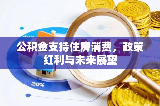 同仁公积金支持住房消费，政策红利与未来展望