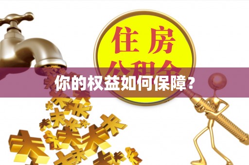 青白江你的权益如何保障？
