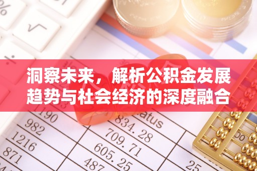 万安洞察未来，解析公积金发展趋势与社会经济的深度融合