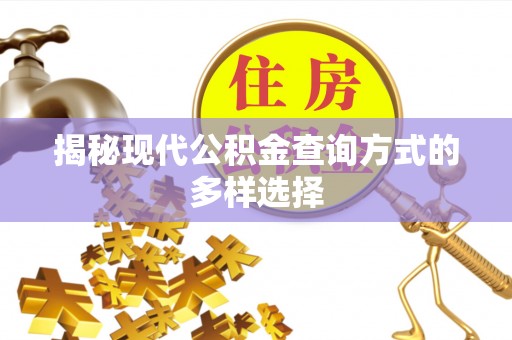 太麻里揭秘现代公积金查询方式的多样选择