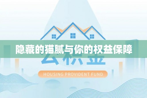 虎林隐藏的猫腻与你的权益保障