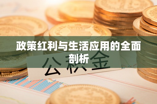 亭湖政策红利与生活应用的全面剖析