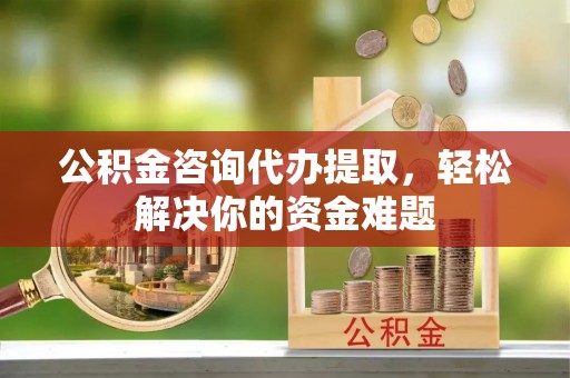 秀水公积金咨询代办提取，轻松解决你的资金难题