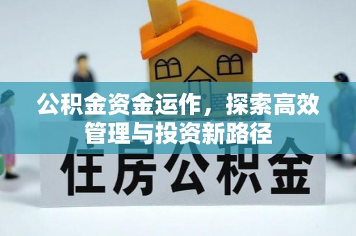桥东公积金资金运作，探索高效管理与投资新路径