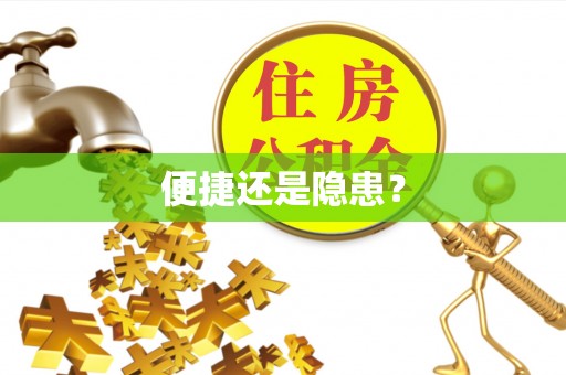 乌恰便捷还是隐患？
