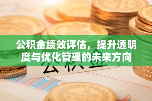 昌都公积金绩效评估，提升透明度与优化管理的未来方向