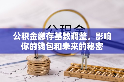 建平公积金缴存基数调整，影响你的钱包和未来的秘密