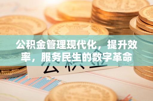 固始公积金管理现代化，提升效率，服务民生的数字革命