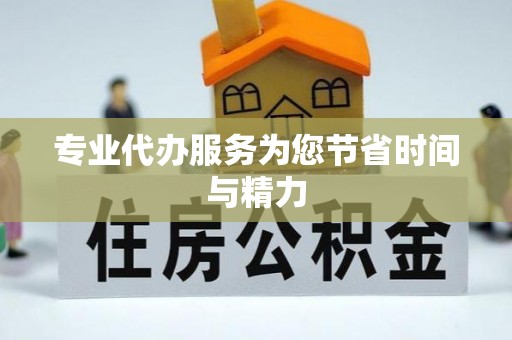 和龙专业代办服务为您节省时间与精力