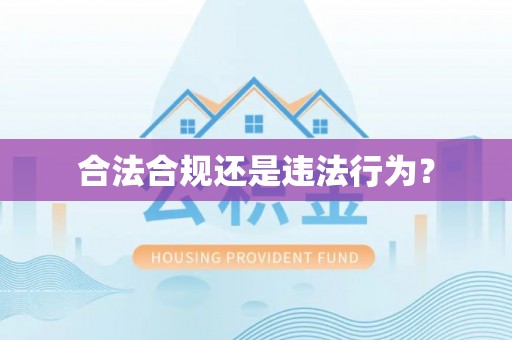 龙海合法合规还是违法行为？