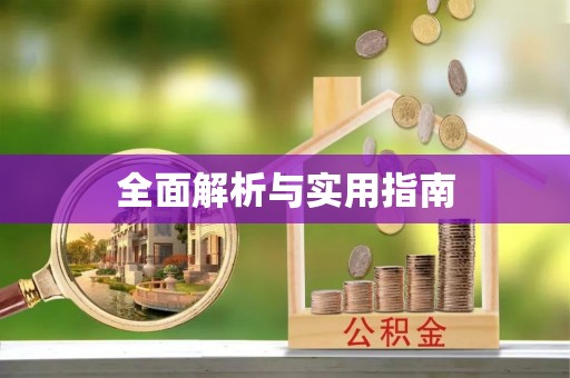 遂平全面解析与实用指南