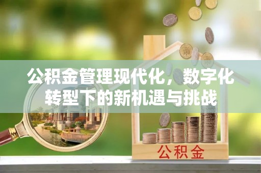 石冈公积金管理现代化，数字化转型下的新机遇与挑战