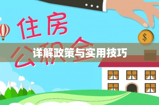 潼南详解政策与实用技巧