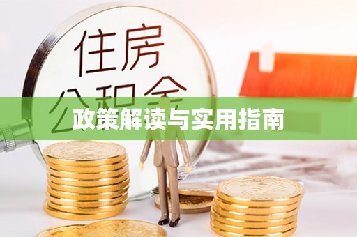 徐汇政策解读与实用指南