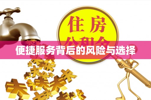 兰屿便捷服务背后的风险与选择