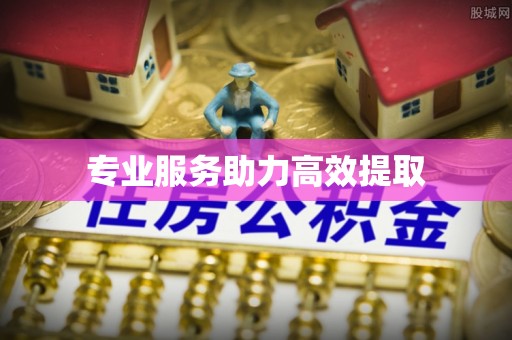 兰屿专业服务助力高效提取