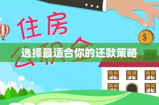 黑河选择最适合你的还款策略